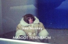 Our favourite Ikea Monkey tributes so far