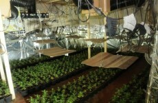 Seven men to appear in court over €4.6m cannabis seizure