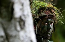 In Pics: Ireland's Defence Forces in 2012