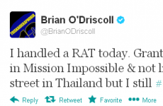 Tweet Sweeper: Brian O’Driscoll is scared of small furry animals