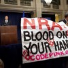 NRA: 'The only thing that stops a bad guy with a gun is a good guy with a gun'