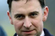 The social network: you can own part of a horse as top trainer includes fans on Facebook