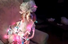 Merry Christmas! We hope you're happier than this dog today