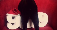 Merry Christmas from Steve The Cat, and his bum