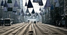 The week in photos: Deep winter