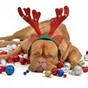 Poll: Are you glad Christmas Day is over?