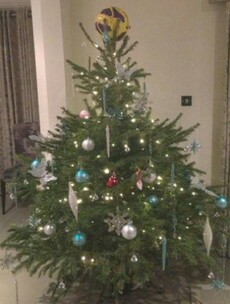 Gareth Bale gives match ball pride of place on top of Christmas tree after hat-trick