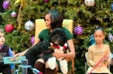 VIDEO: The Obama family dog will sit where he likes, dammit