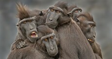 19 absolutely stunning Sony World Photography contenders