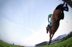 Mark Your Card: the best bets for today’s Grade racing