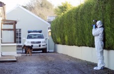 Man (33) shot dead at Kildare house