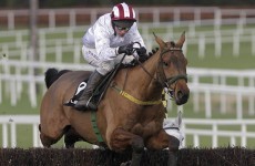 Pandorama out of Hennessy but Cheltenham Gold Cup bid in the balance