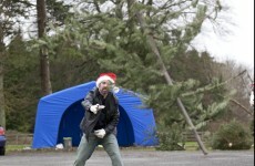 Get lumbered up for Christmas Tree Throwing Championship