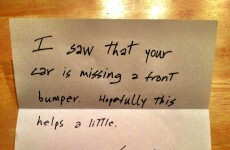 Heartwarming New Year’s Resolution Pic of the Day