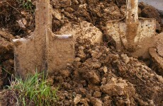 21 people lost their lives farming last year