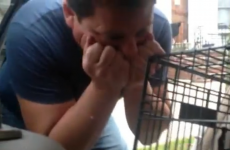 VIDEO: Middle-aged dad gets a puppy for Christmas… and LOVES IT