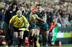 Green pastures: New contract for Morris as Leicester go top