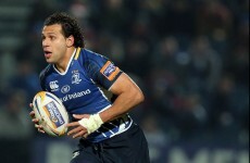 Heineken Cup: Leinster hopeful on returns for Strauss and Nacewa