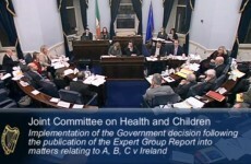 10 interesting moments from the Oireachtas hearings on abortion