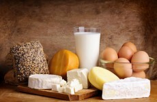 Record €9 billion food and beverage exports in 2012 - Bord Bia report