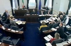 10 interesting moments from day two of the Oireachtas hearings on abortion
