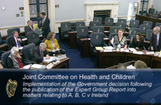 Oireachtas told: 'Ireland already allows abortion of unviable pregnancies'