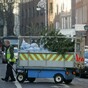 Sad Christmas tree Pic of the Day