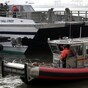 Dozens injured in New York ferry crash