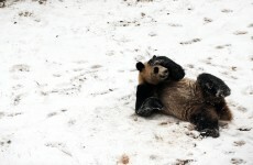 So, is there really snow on the way? How can we prepare?