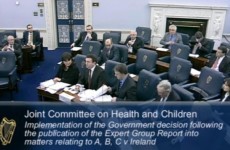 13 things we learned from the Oireachtas abortion hearings this week