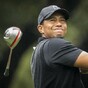 Tiger Woods' appearance fee is now a cool $3 million