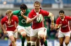 Mixed fortunes: Welsh lock Davies is latest doubt for 6 Nations