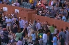 VIDEO: Amazing one-handed cricket catch by Aussie carrying food and milk