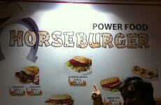 12 of the best puns anyone has ever made about horse burgers