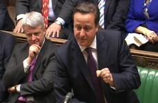 David Cameron call for investigation into horse meat