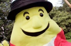 78 new jobs announced at Tayto Park