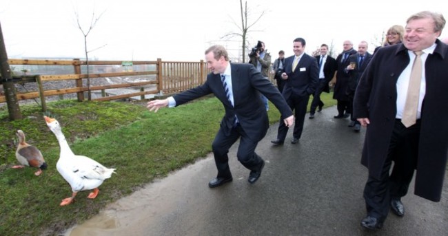 Enda Kenny Chasing Geese While People Laugh Pic of the Day