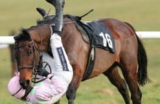 In pictures: Ruby Walsh hangs on for dear life but is eventually unseated in Thurles