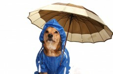 7 ways to feel warm and dry in this terrible weather