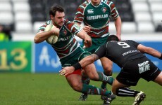 Irish winger Morris could decide Heineken Cup fate of Leinster and Munster