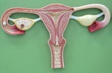 Women over 45 'less likely to have smear tests'