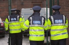 Two Gardaí hospitalised trying to stop Co Donegal theft