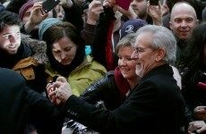 GALLERY: A taste of Hollywood for Dublin's 'Lincoln' premiere