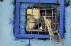 UN says torture of prisoners in Afghanistan persists