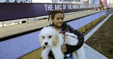 Pics, video: Washington gets ready for Obama inauguration