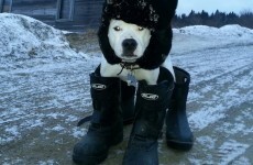 16 reasons why snow is the absolute worst