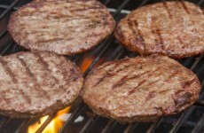 New test results show no trace of horse DNA in Liffey Meat products