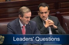 Fiona Doyle case has 'filled the nation with revulsion' - Taoiseach