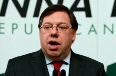 Cowen's brother declares interest in Laois/Offaly seat