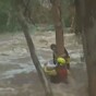 VIDEO: Dramatic footage of swift water rescue in Queensland